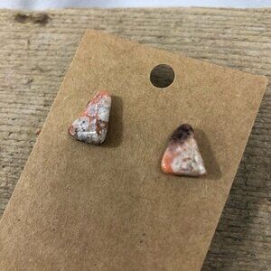 Fossilized Coral Jasper Earrings